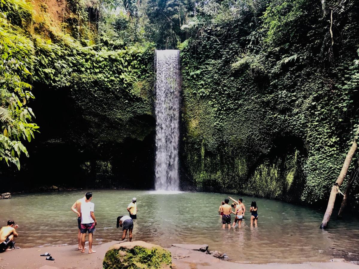 Un grupo de personas en el agua frente a una cascada.