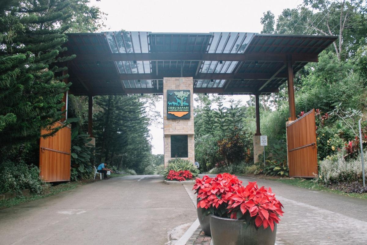 a pavilion with red flowers in pots on a road