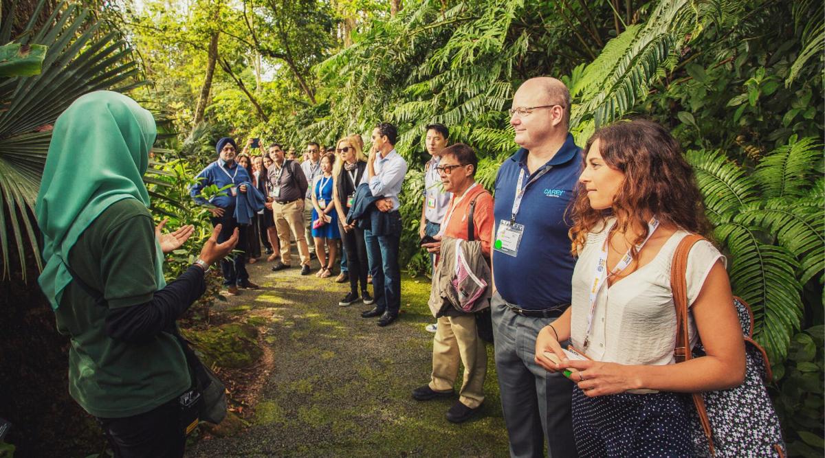 a group of people standing in a forest
