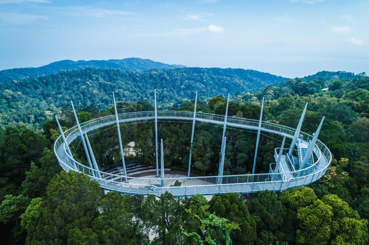 an observation tower in the middle of a forest