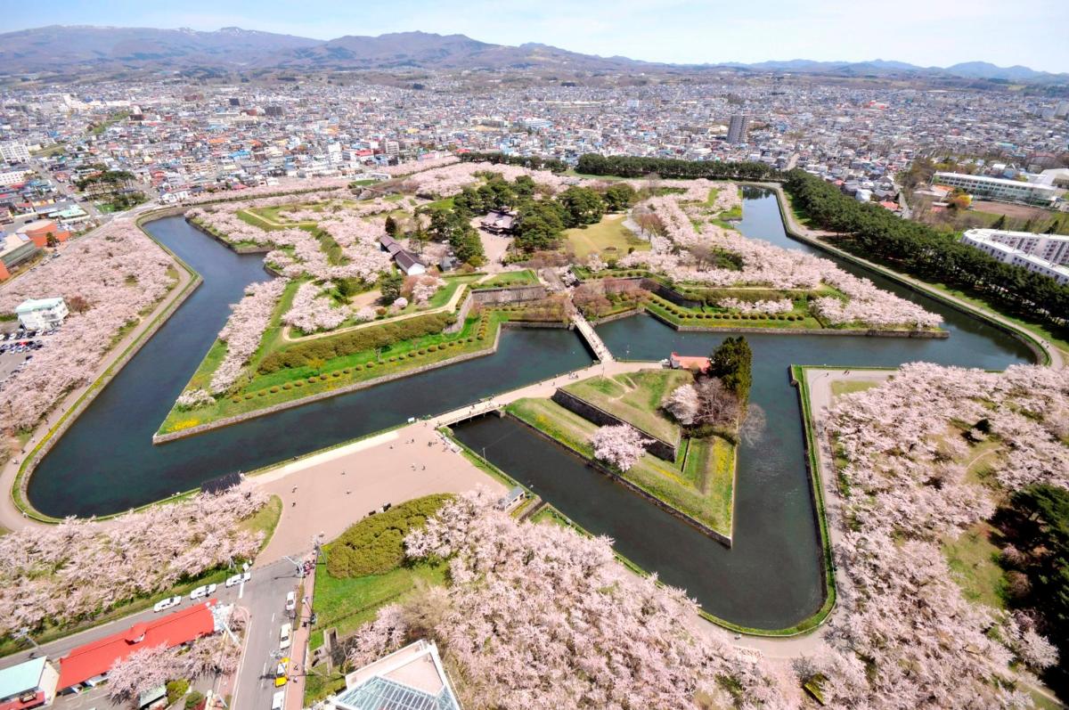 an aerial view of a park with a river