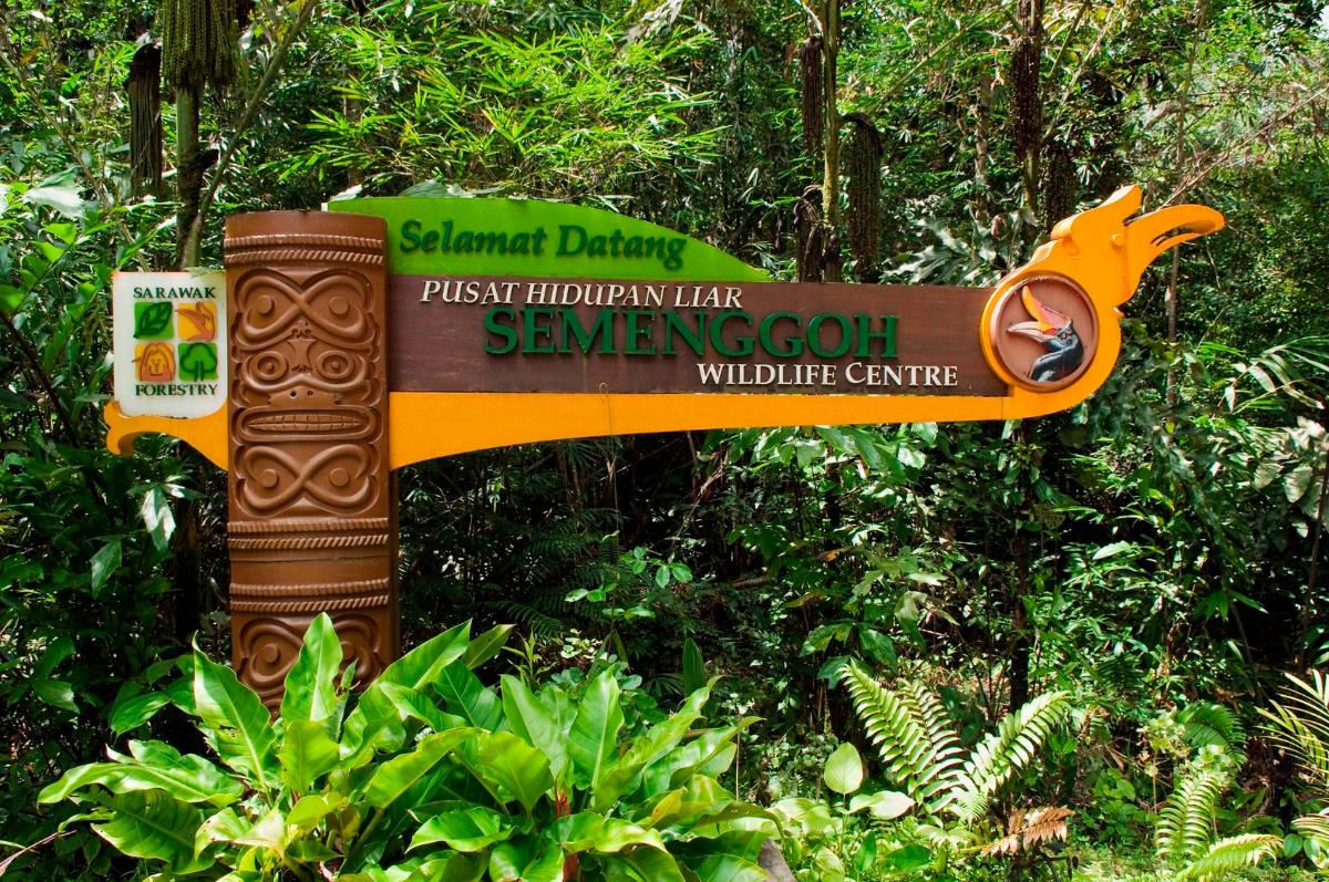 a sign in the middle of a forest