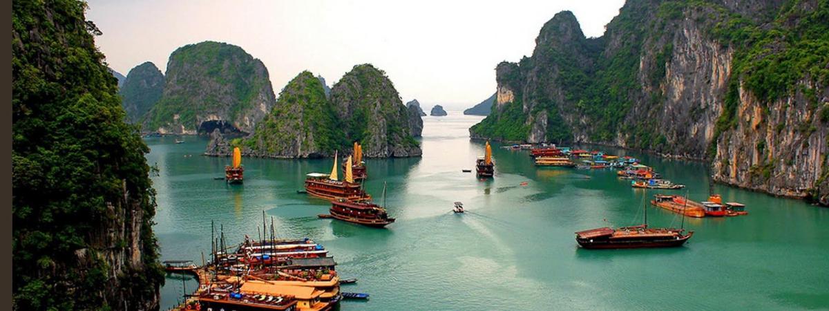 a group of boats in the water in a harbor