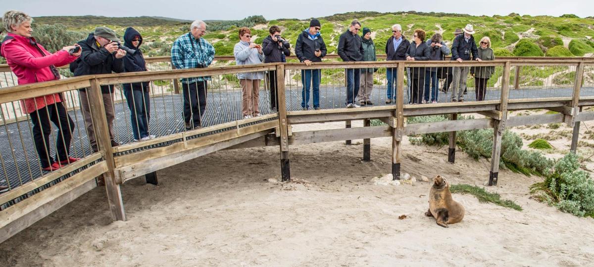 skupina lidí stojících na mostě a dívajících se na psa