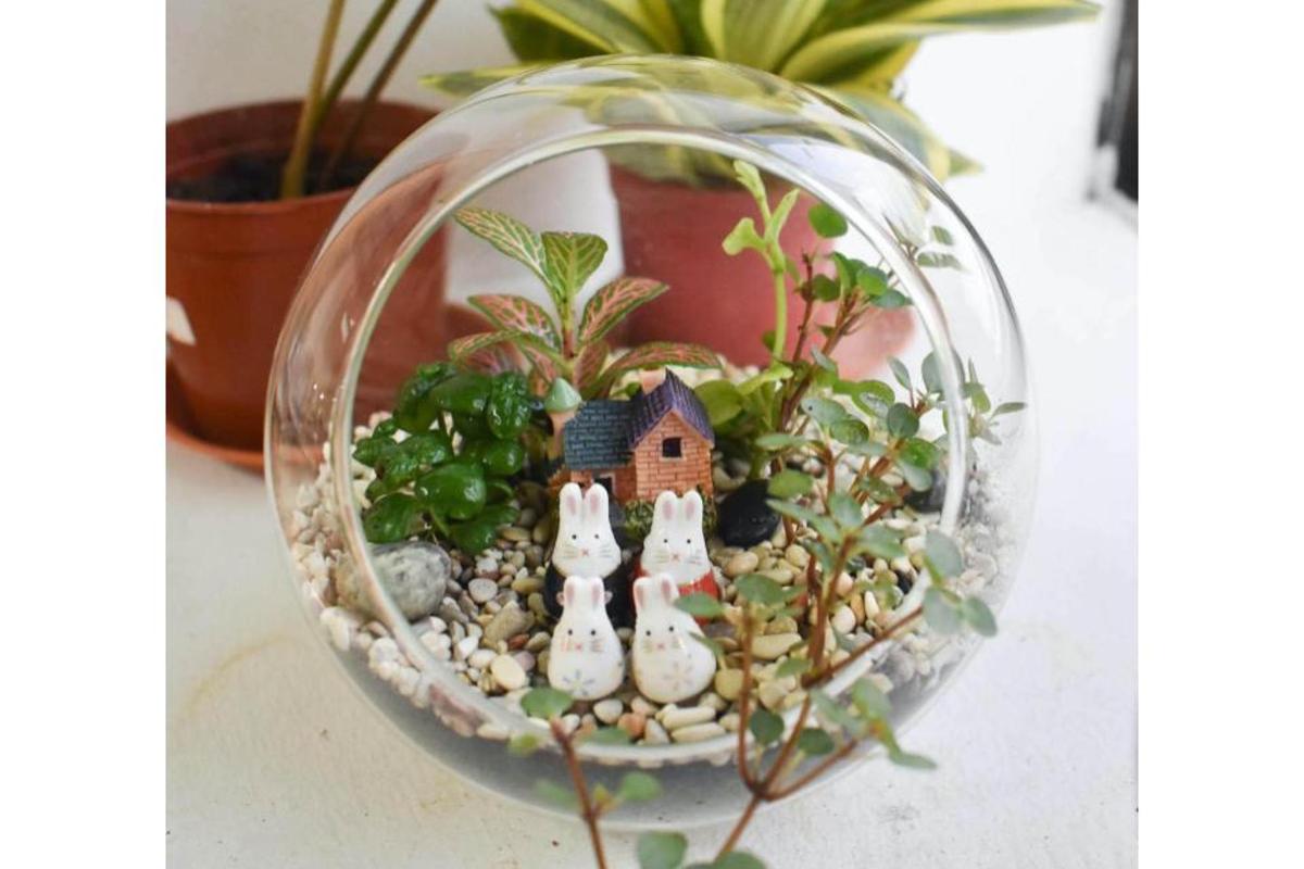 una ciotola di vetro con una famiglia di conigli in un giardino