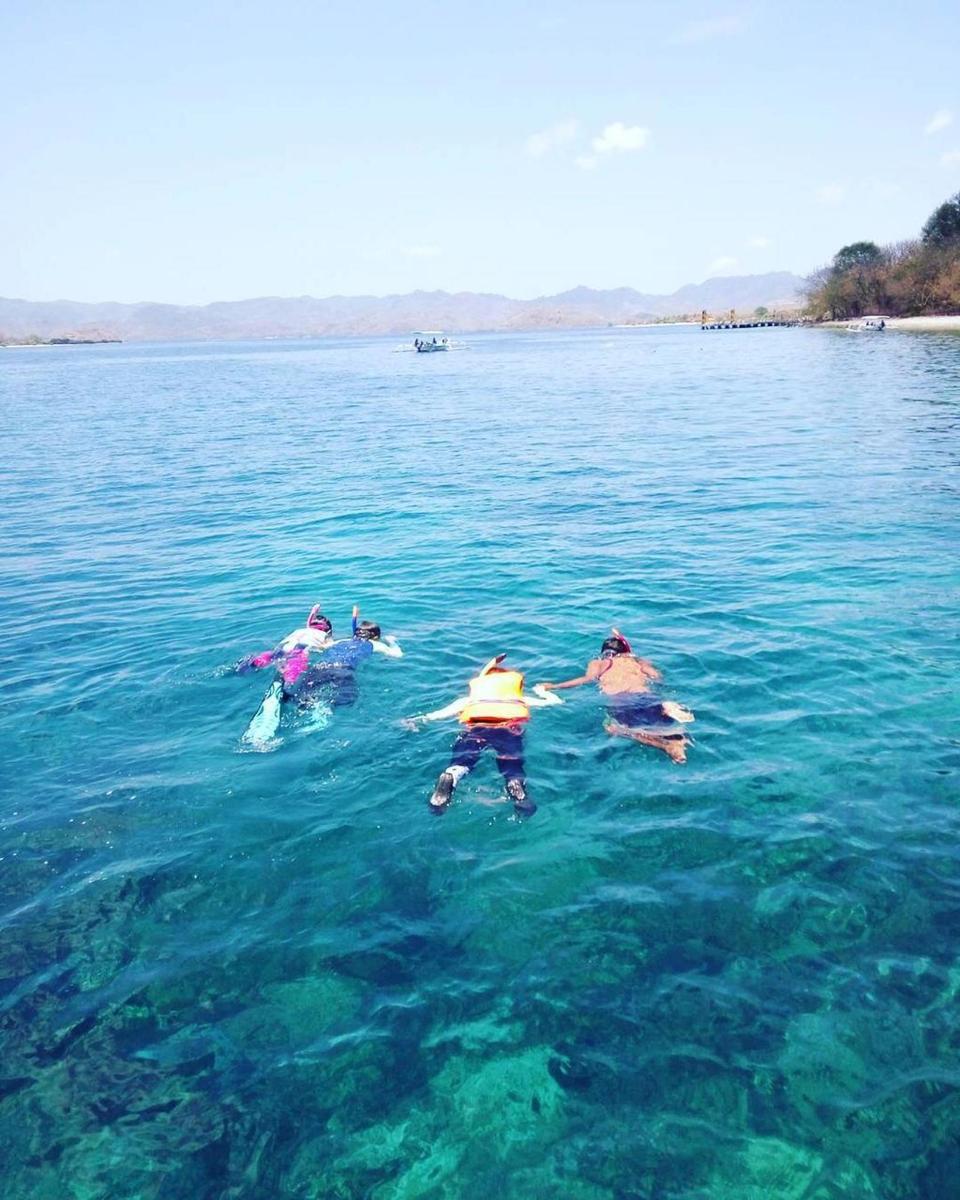 a group of people swimming in the water