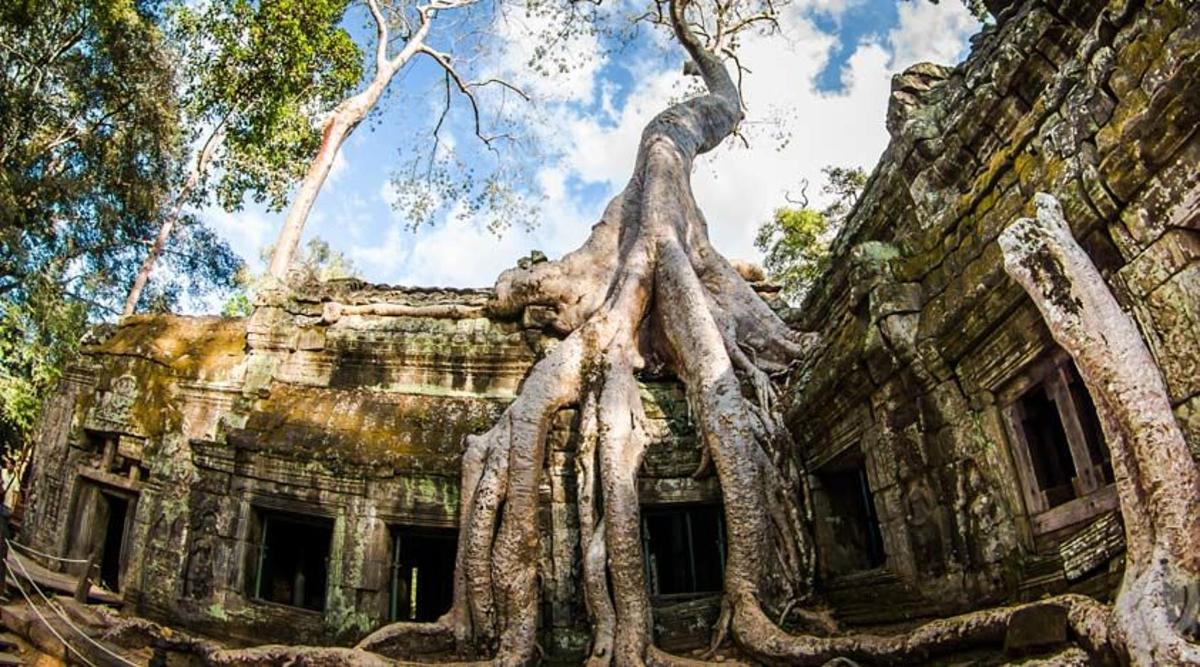 bangunan lama dengan pokok-pokok tumbuh di sekelilingnya