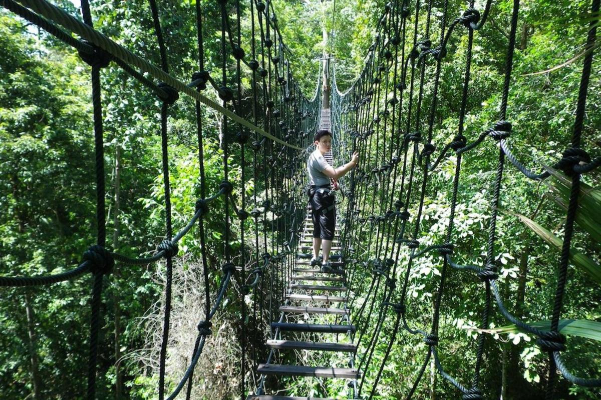 a man on a suspension bridge in the forest