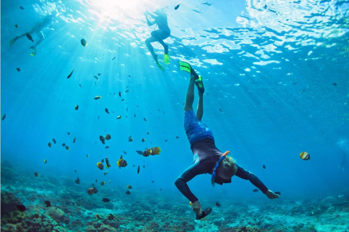 a person swimming in the ocean with fish
