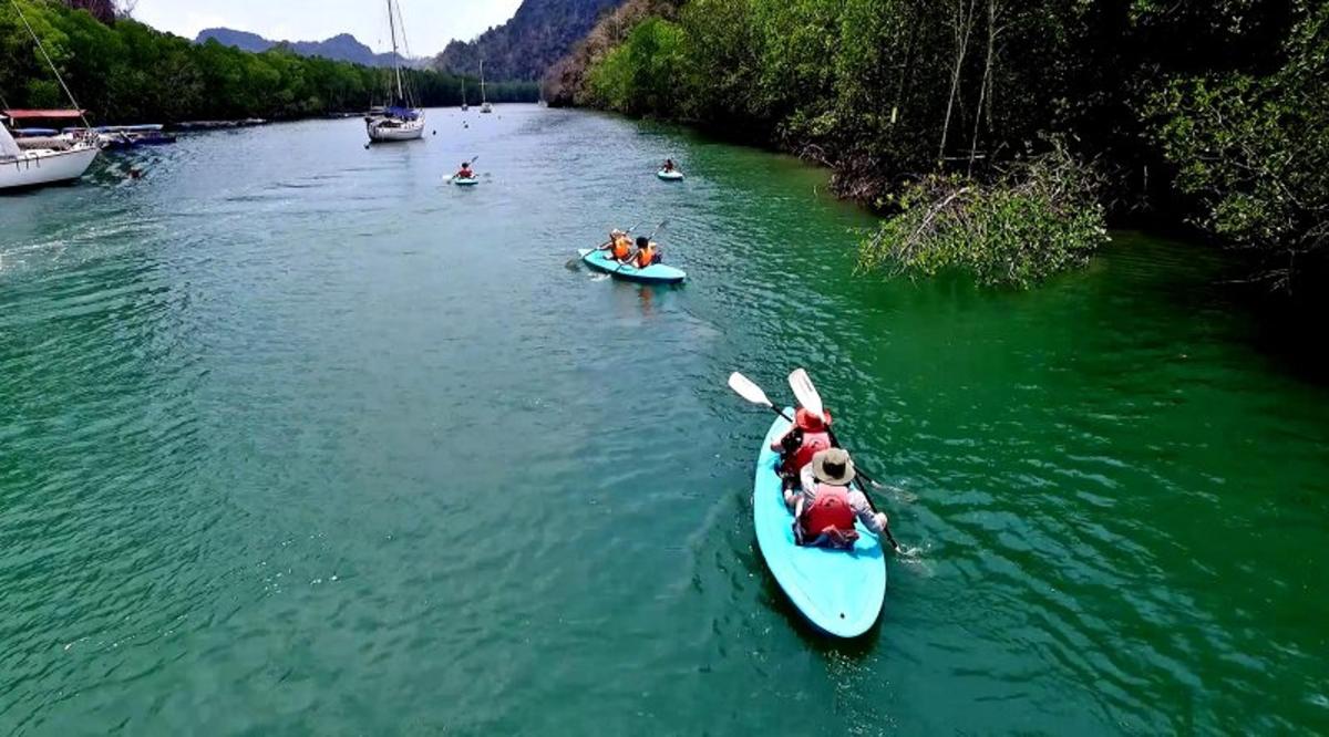 Un perro está en un kayak en un río.