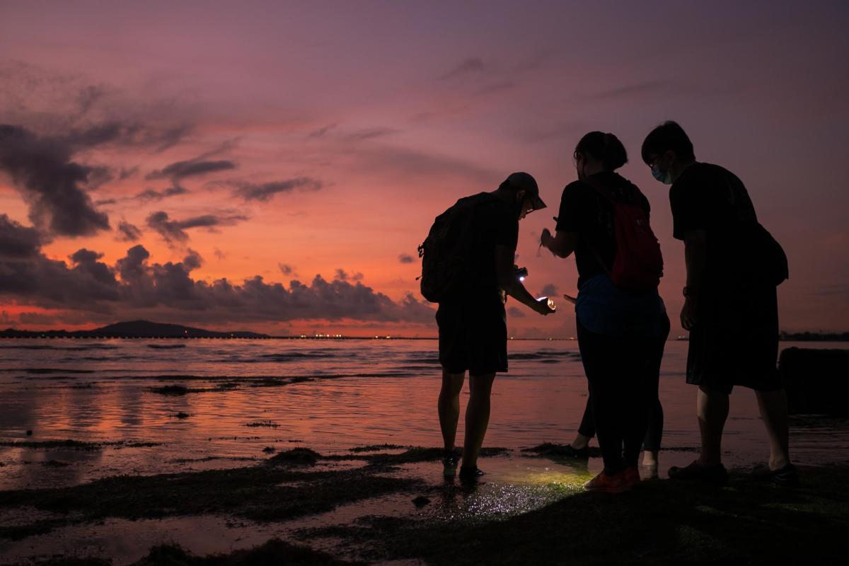 a group of people standing on the beach at sunset