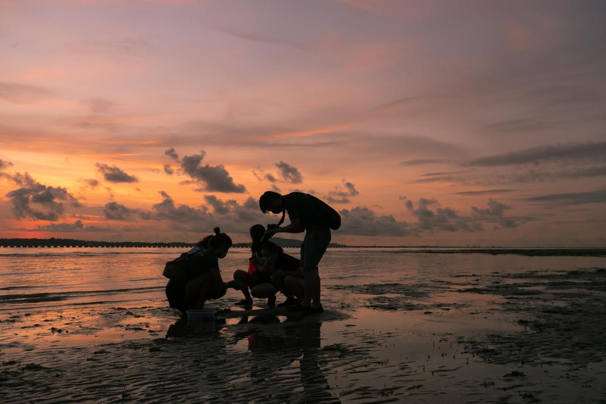 two people and a dog on the beach at sunset