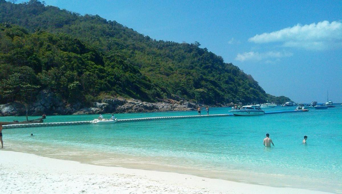 un gruppo di persone in acqua su una spiaggia