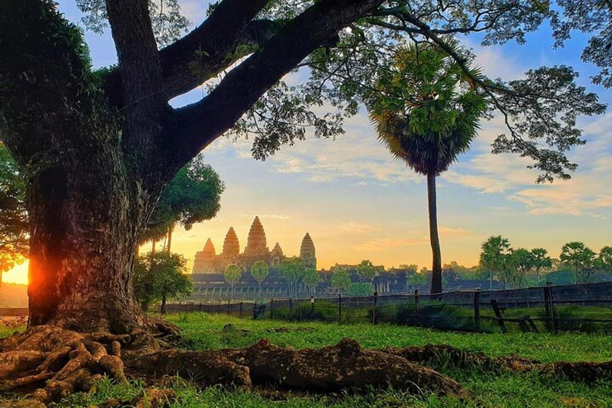 un arbre en un camp amb un temple al fons