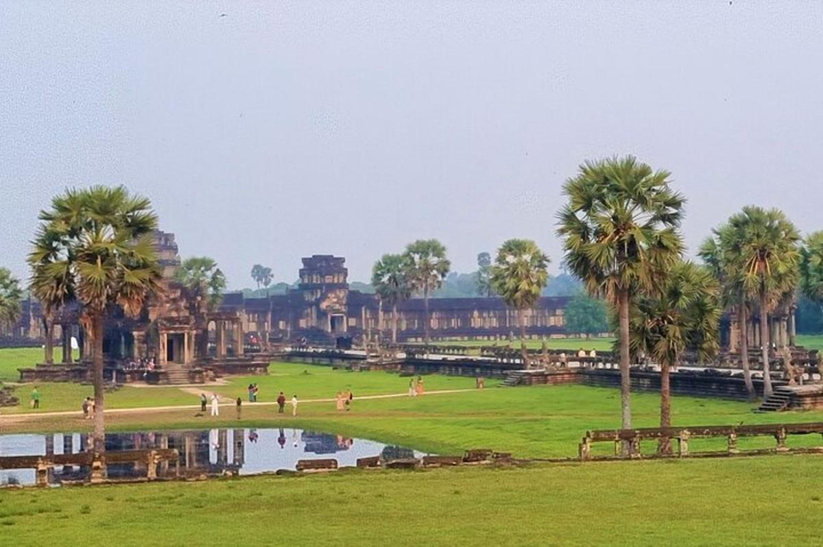 a view of a park with palm trees and a building
