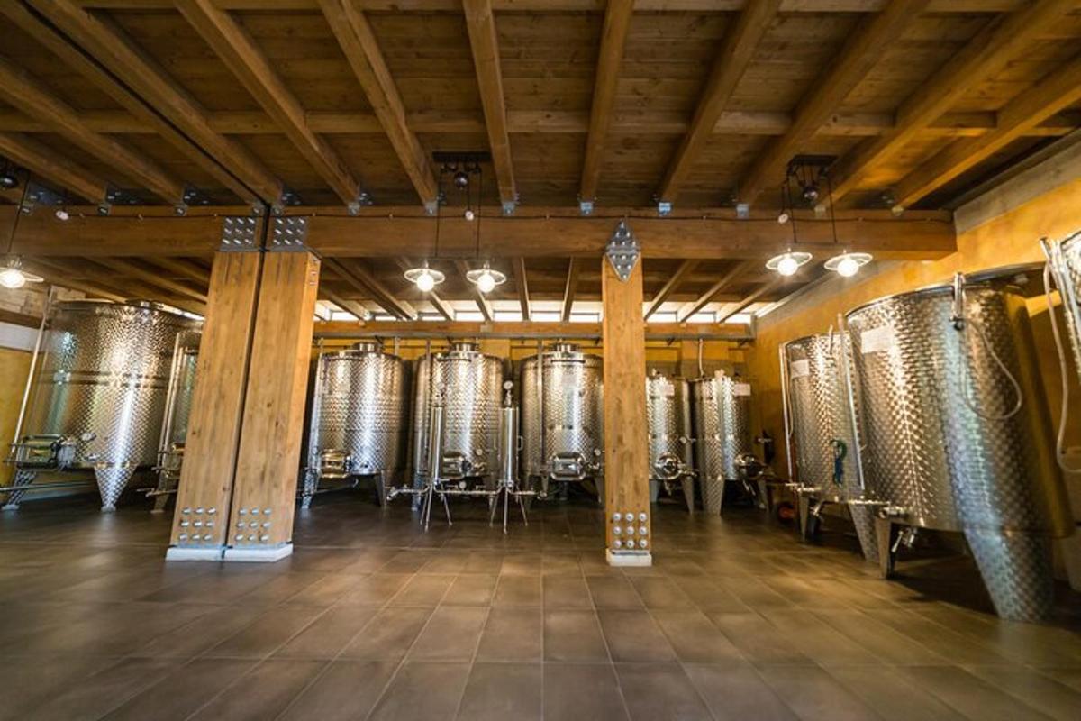 una cantina con file di botti di vino