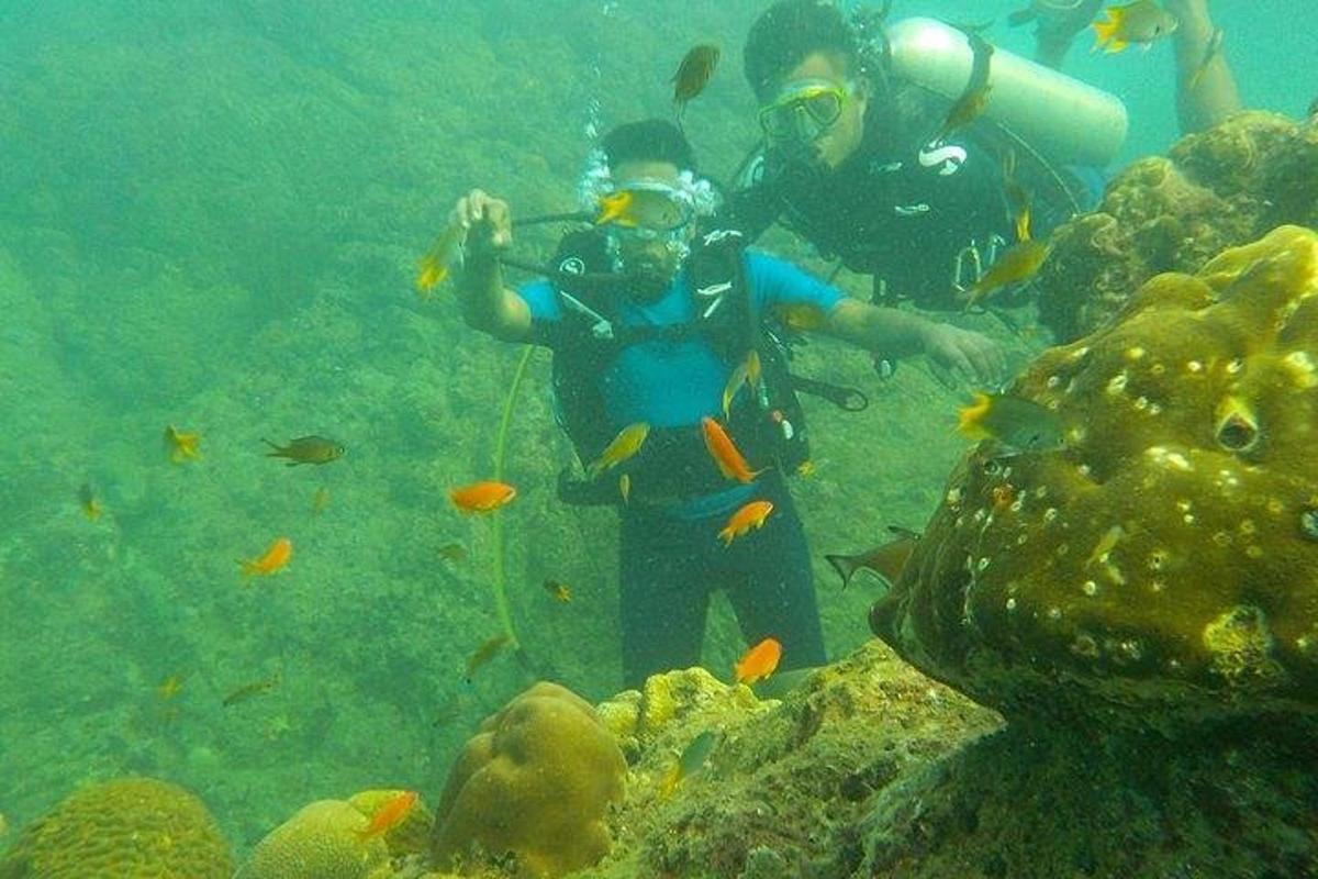 two people are scuba diving in the ocean