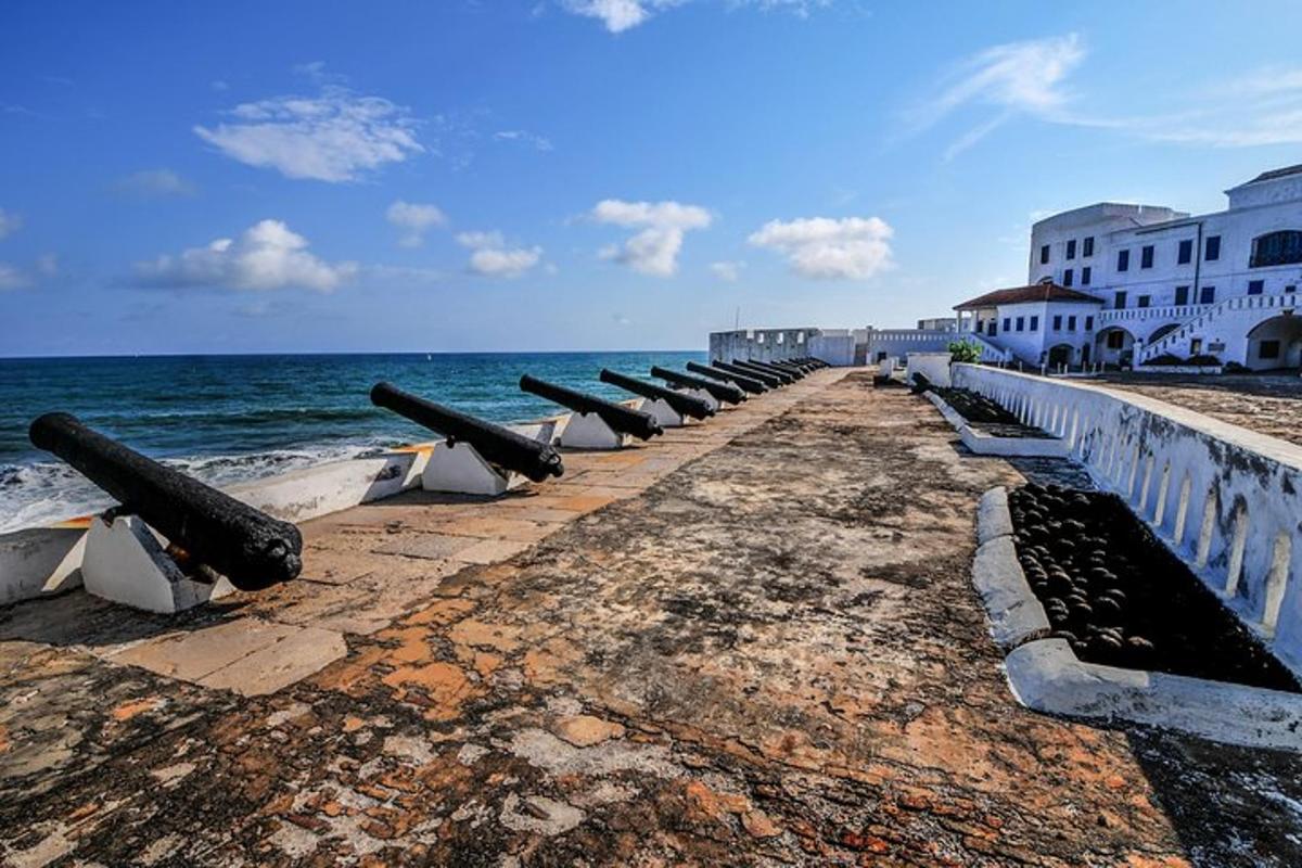 a row of cannons on the beach near the ocean