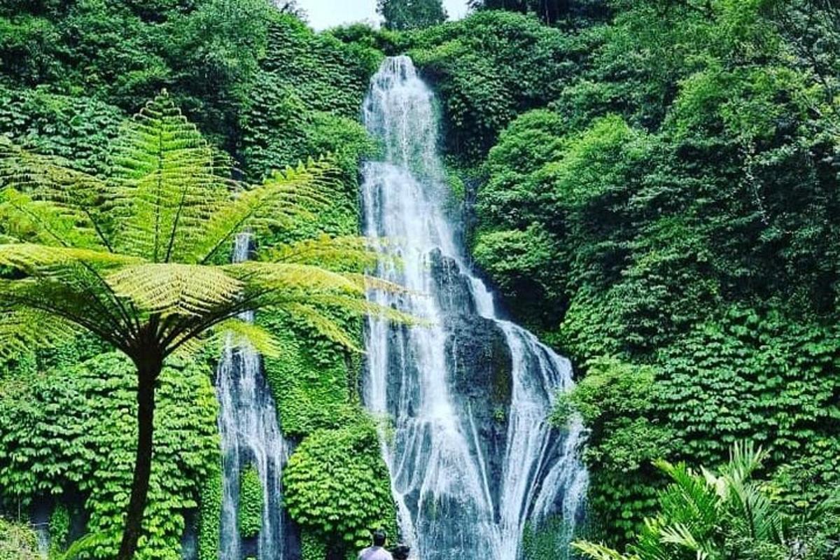 două persoane care stau în fața unei cascade