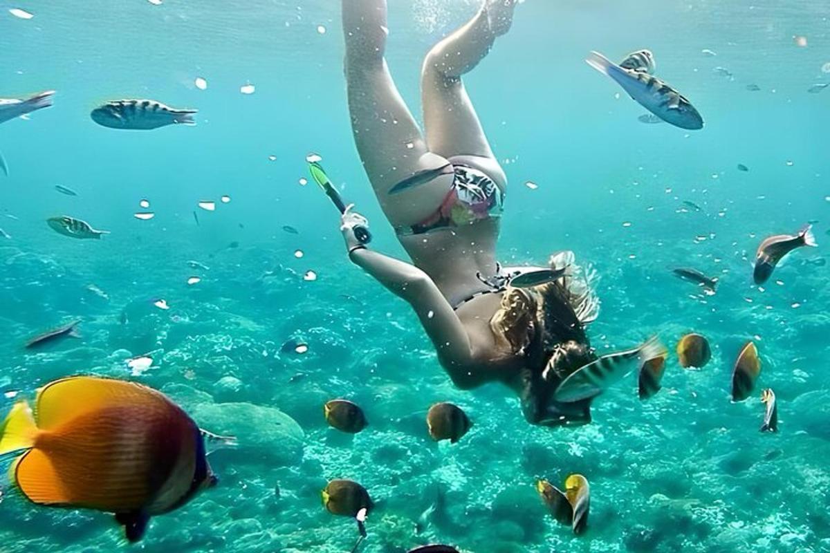 eine Frau schwimmt mit Fischen im Wasser