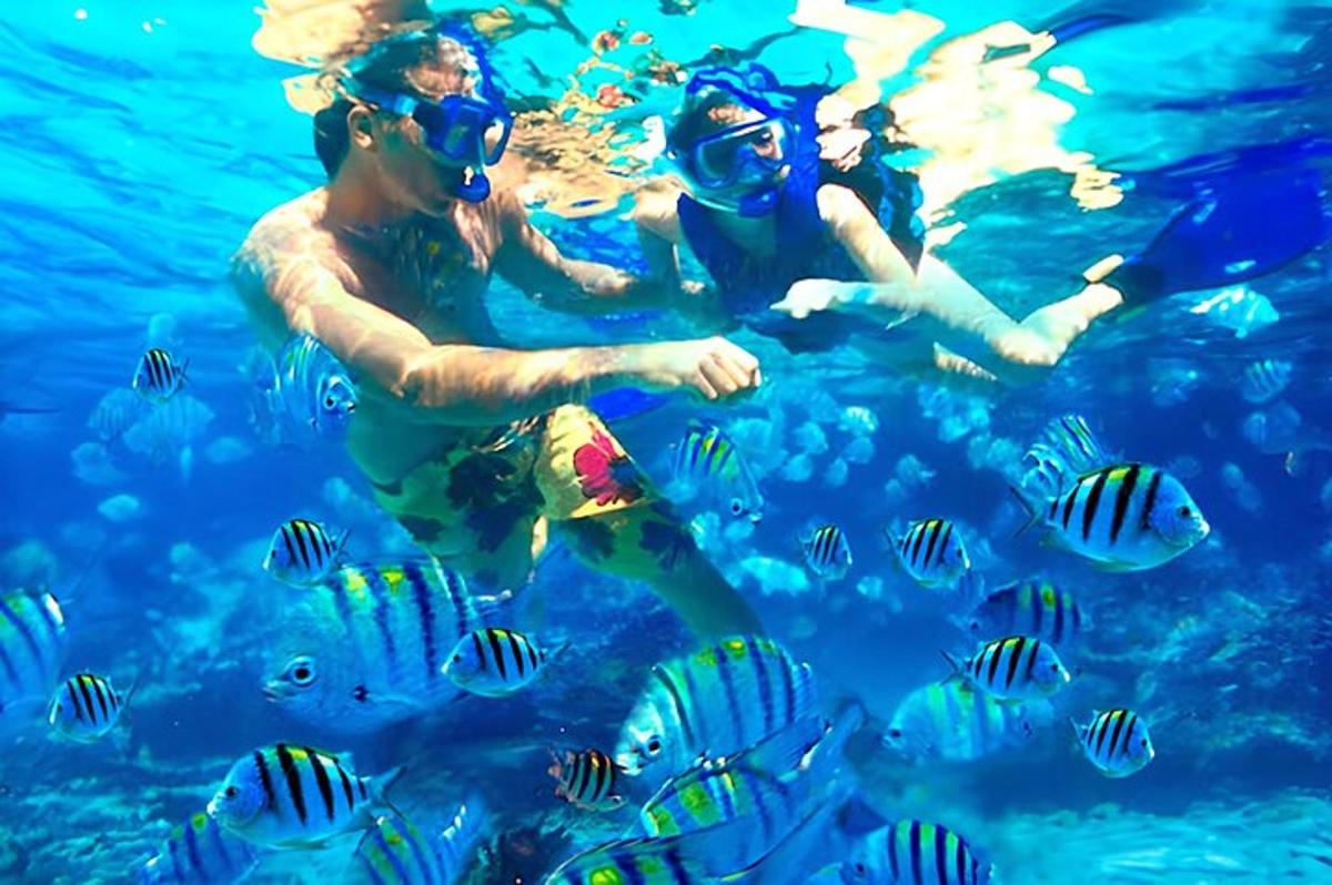 two people in the water looking at fish