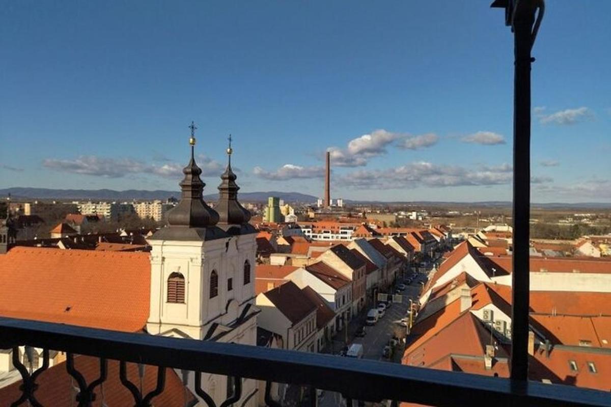 pogled na mesto z zgradbami in stolpom z uro