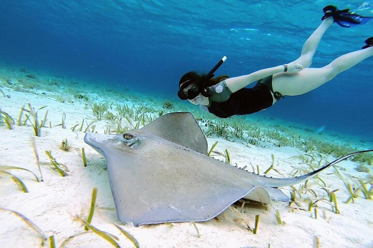 a woman is swimming next to a stingray in the ocean