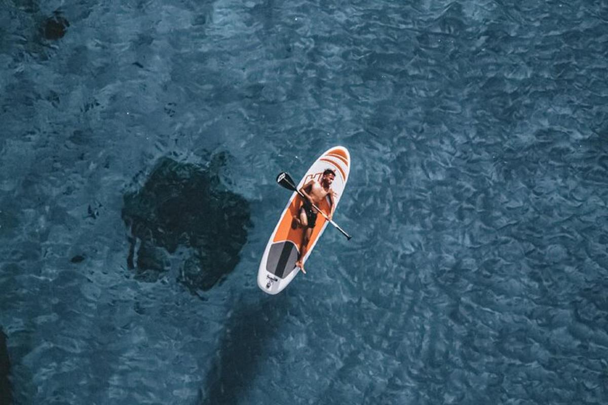 a dog in a boat in the water