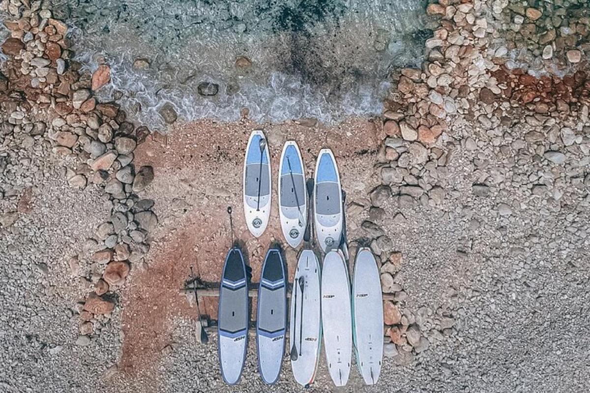 a group of four surfboards lined up on the ground