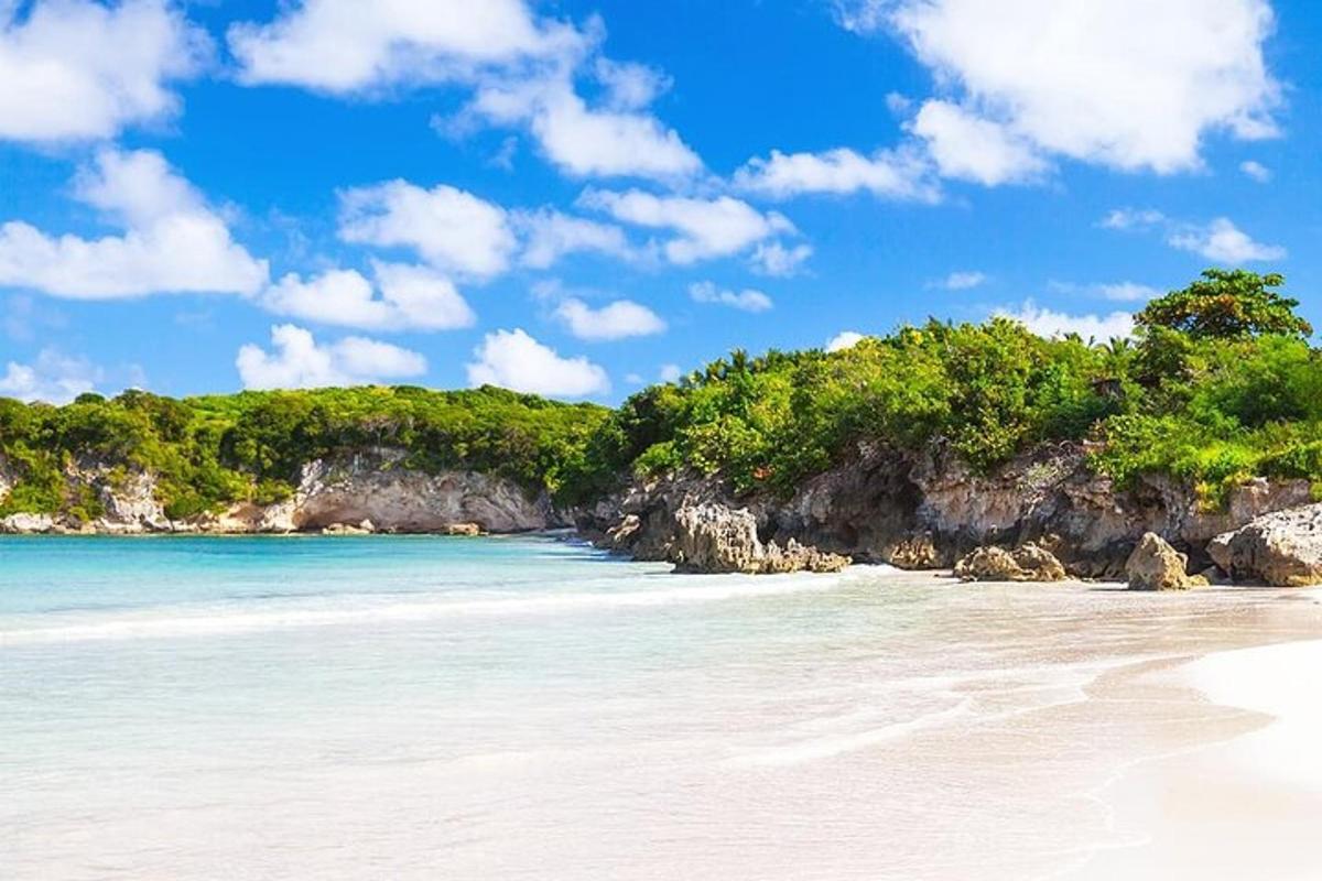 a sandy beach with trees and the ocean