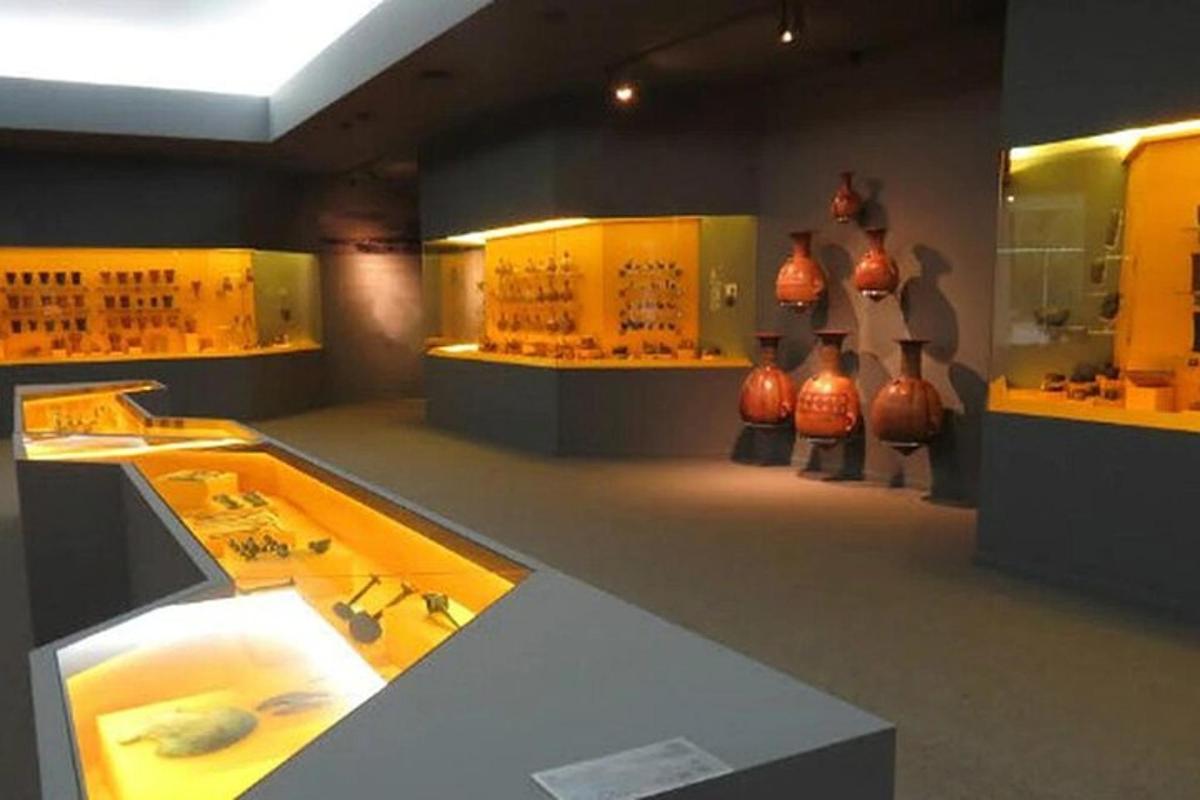 un museu amb gerros exposats en una sala