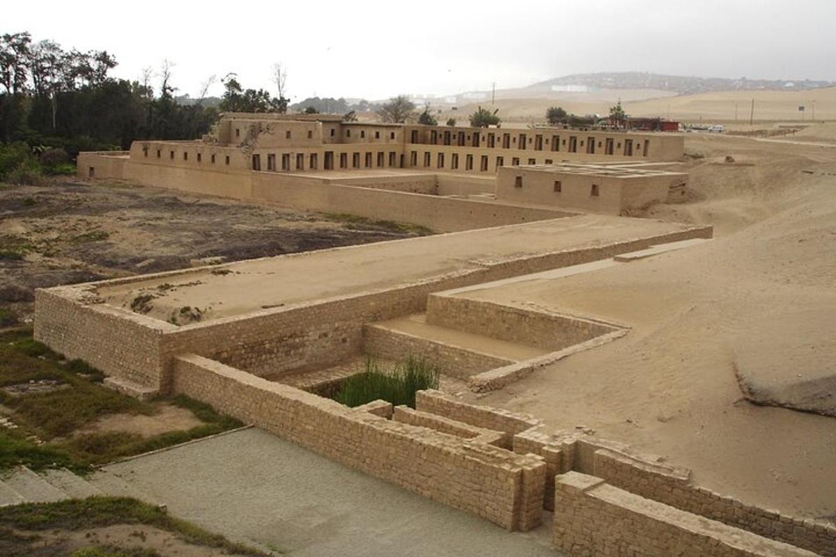un edifici inacabat amb esglaons de formigó en un camp