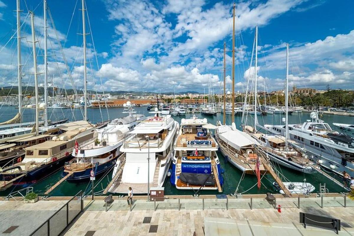 a group of boats docked in a harbor