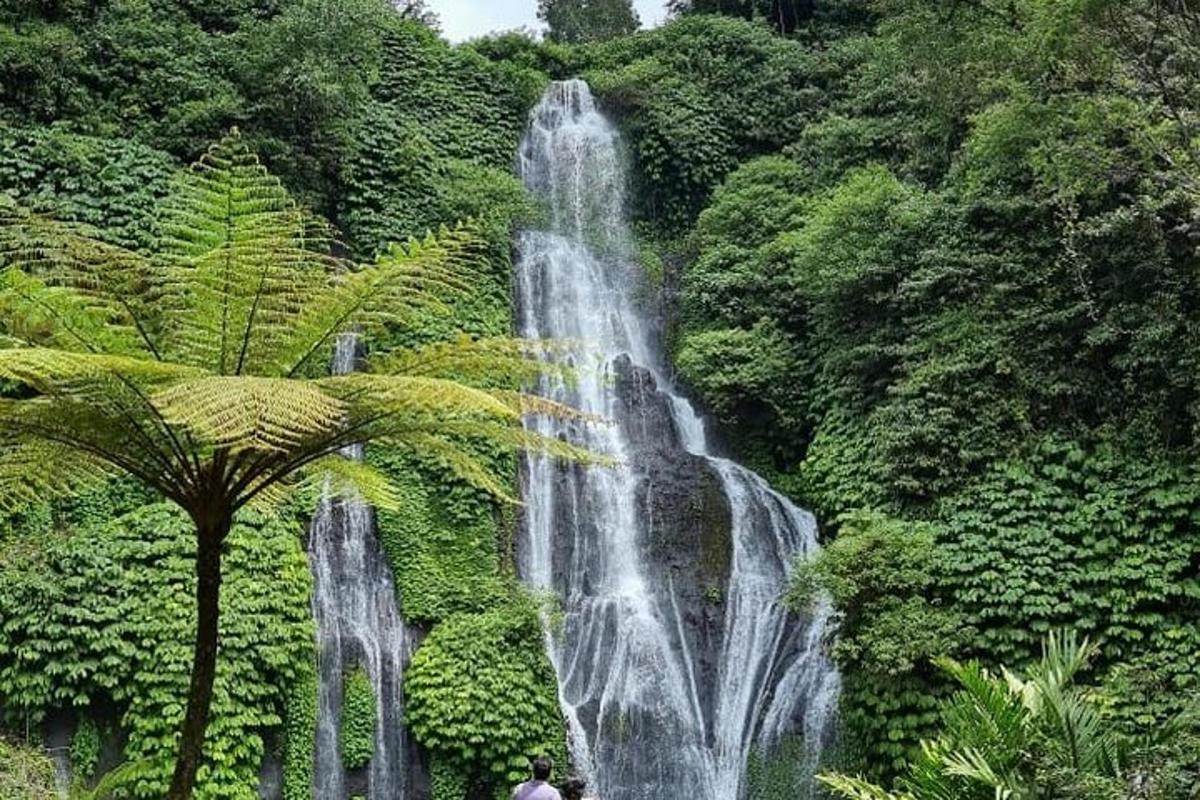 una cascata in una foresta con due persone in piedi di fronte