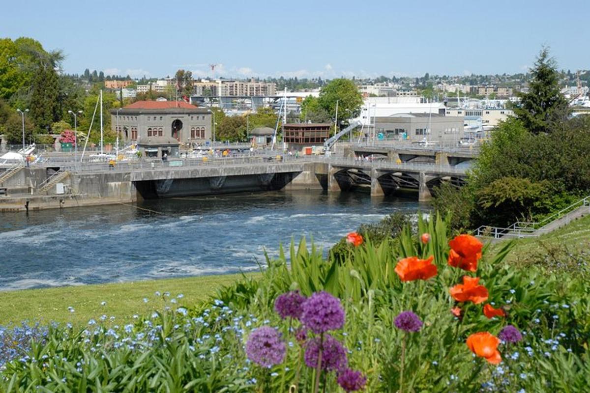 uma ponte sobre um rio com flores na grama