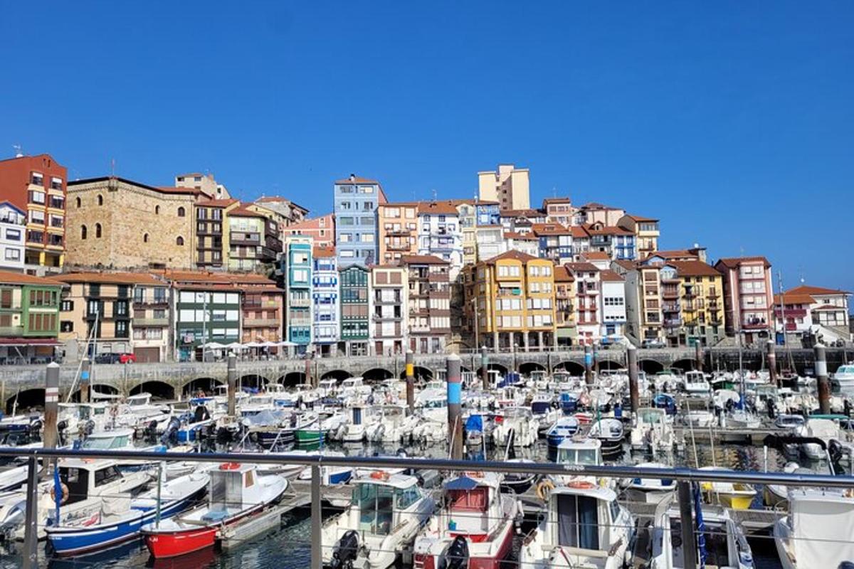 a bunch of boats are docked in a harbor