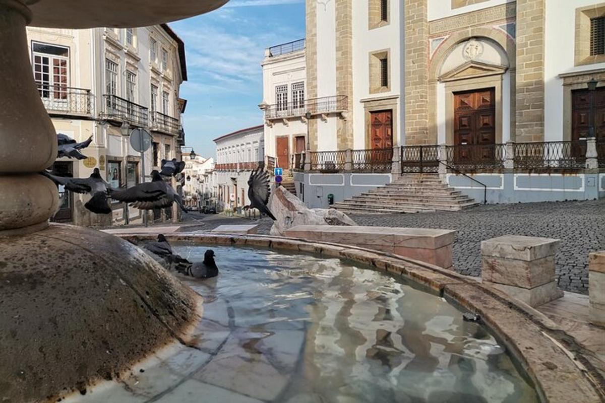 una fontana nel mezzo di una città con degli uccelli dentro