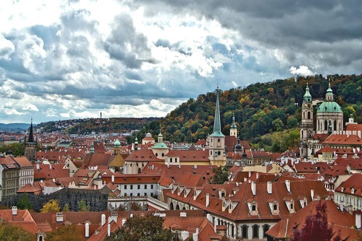 pohled na město s budovami a stromy
