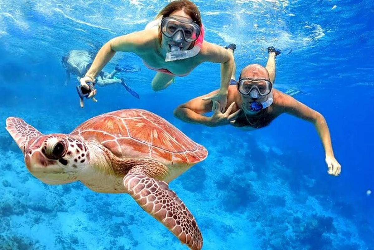 zwei Menschen und eine Meeresschildkröte im Wasser