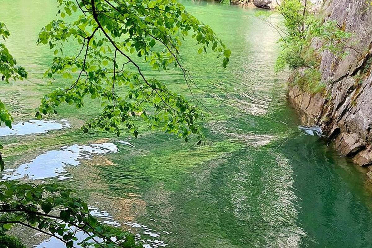 um rio com água verde e algumas árvores