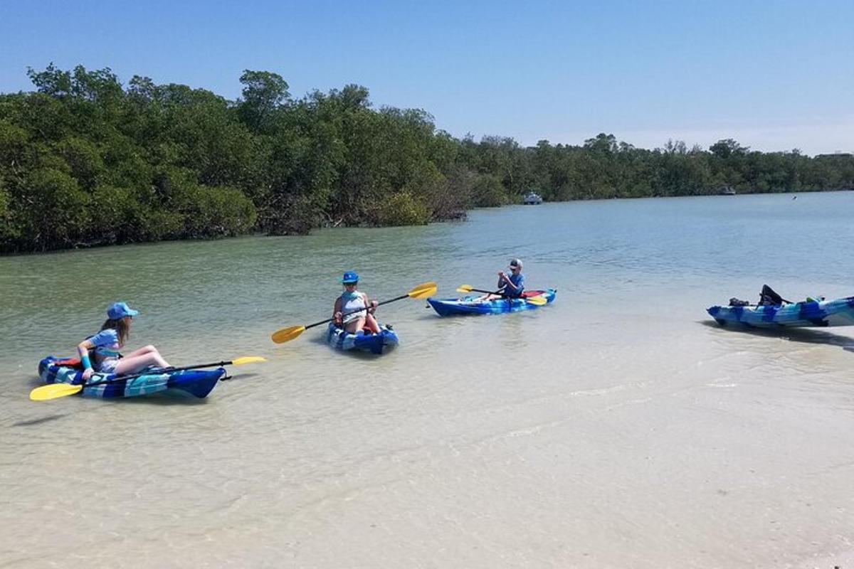 a group of people in kayaks on a river