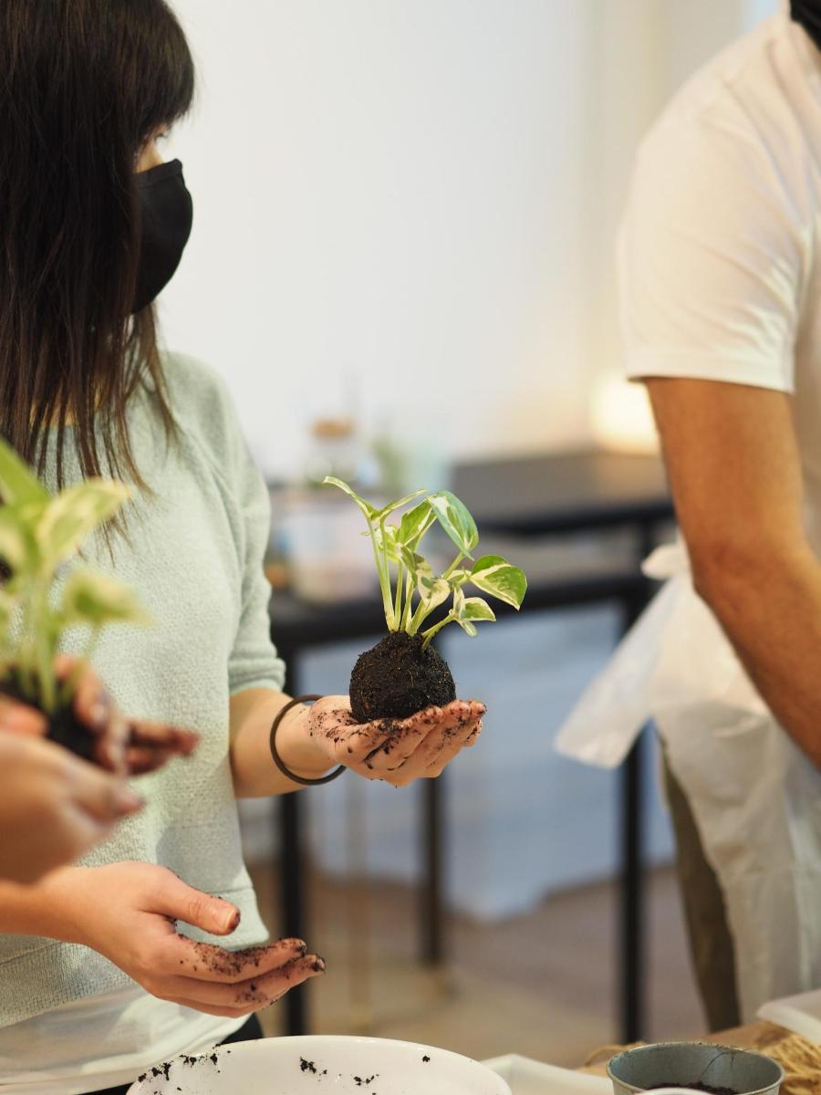 seorang wanita memegang pokok kecil di tangannya