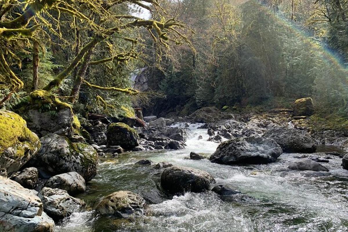 Un río con rocas y un arcoíris al fondo.