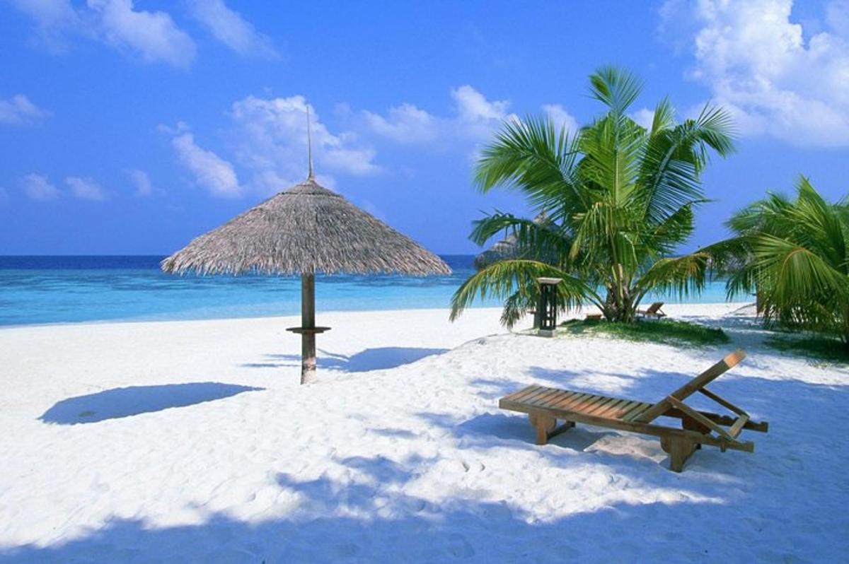 une plage avec un banc et un parasol en paille