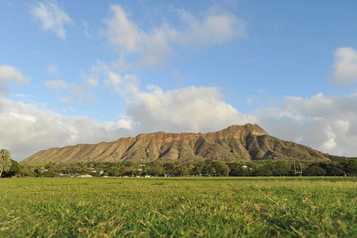 a large mountain in the distance with a field and a hill