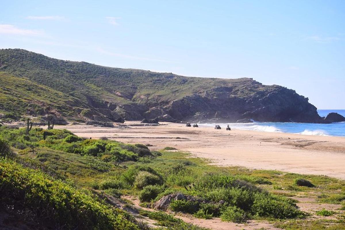 a beach with a group of people walking on the sand