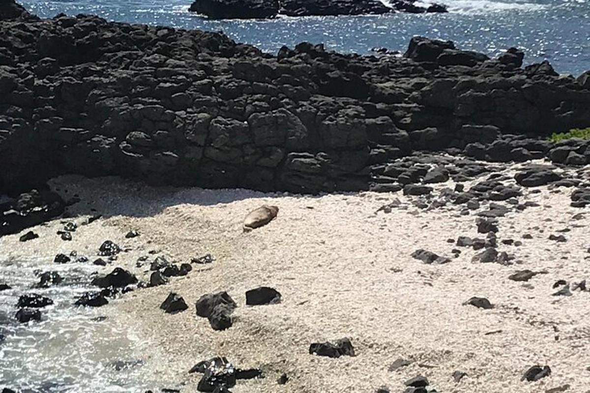 stjenovita plaža s velikom stijenom