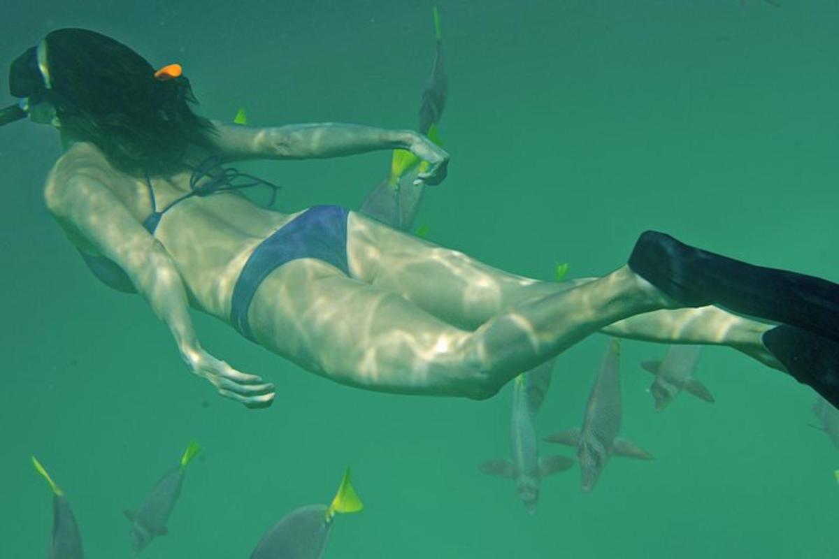 seorang wanita sedang berenang di dalam air