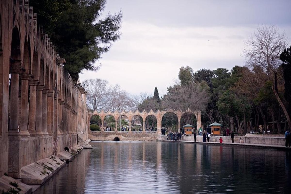 una vista d'un riu en un parc amb un pont