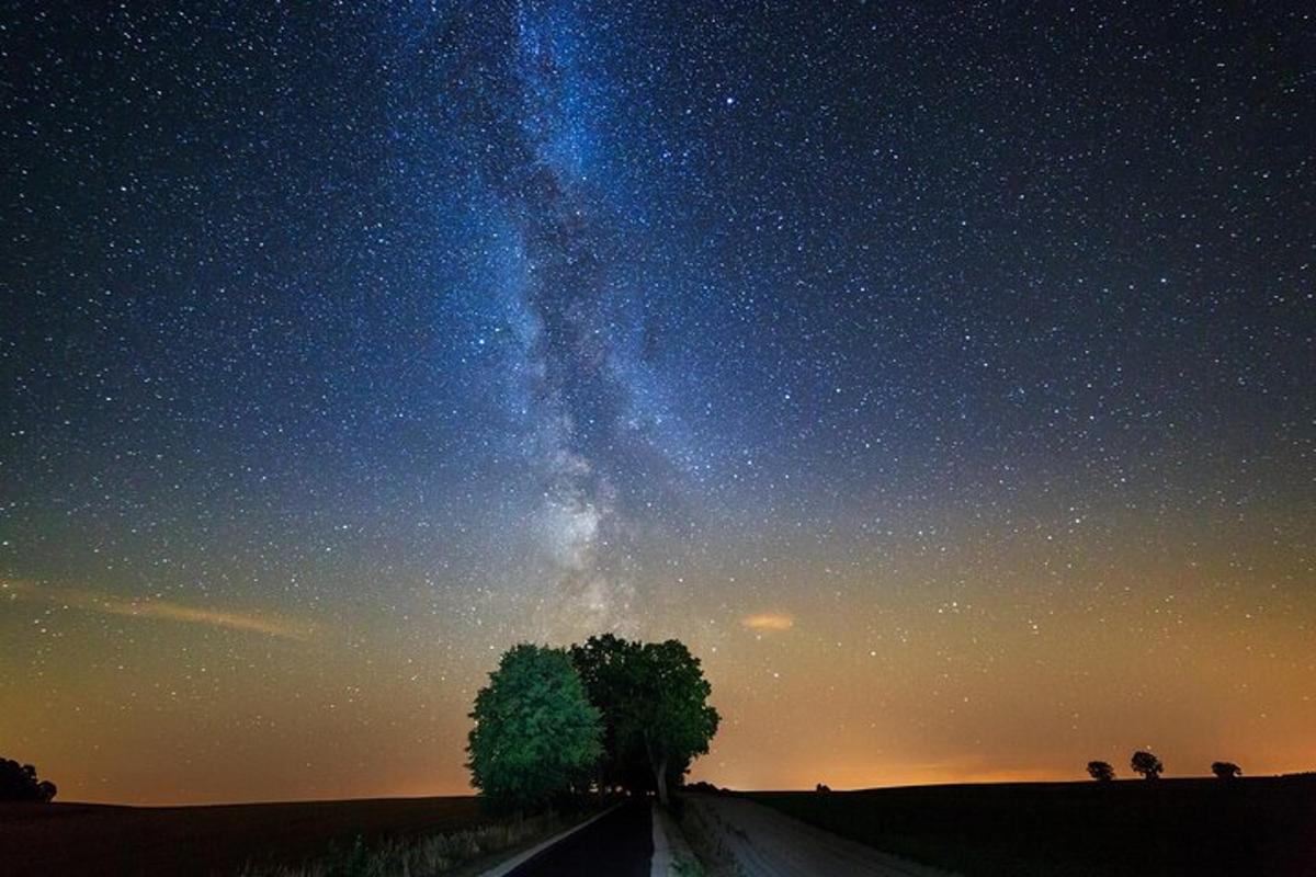 a starry night with a tree and a road